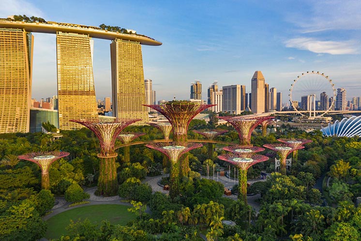 У парку Gardens by the Bay («Сади у затоки») здається, що фантастика стала реальністю У парку Gardens by the Bay («Сади у затоки») здається, що фантастика стала реальністю
